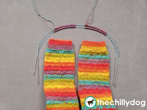 Casting on Two at a Time Socks Top-Down