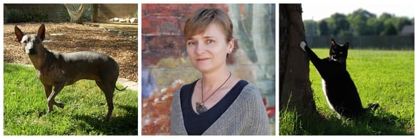 Thank you for becoming a patron!