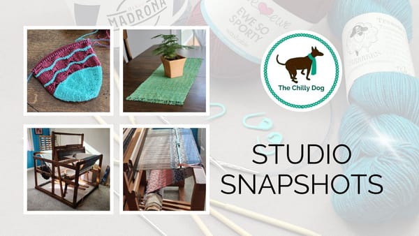 Studio Snapshots | Going off the Grid