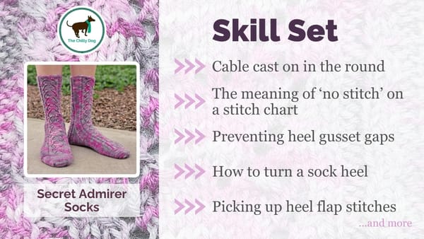 Secret Admirer Socks Skill Set