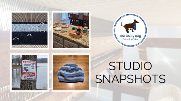 Winter 2025-26 | Studio Snapshots