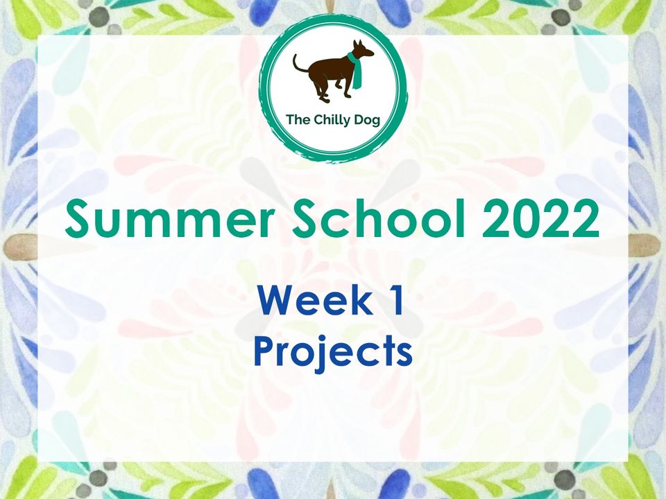 Summer School 2022: Projects