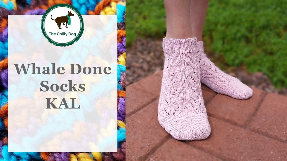 Whale Done Socks KAL | 4 Lesson Series